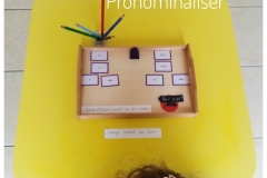 Soutien scolaire Montessori : la grammaire